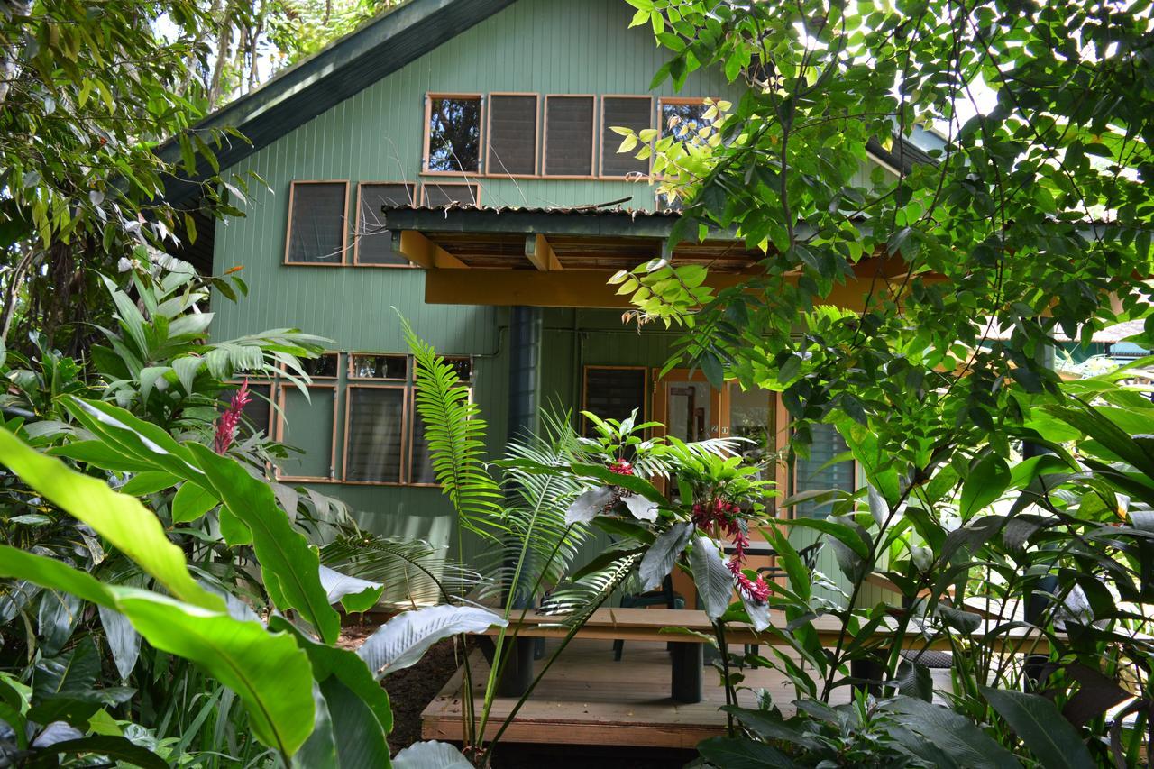 Rainforest Eco Lodge Suva Exterior photo