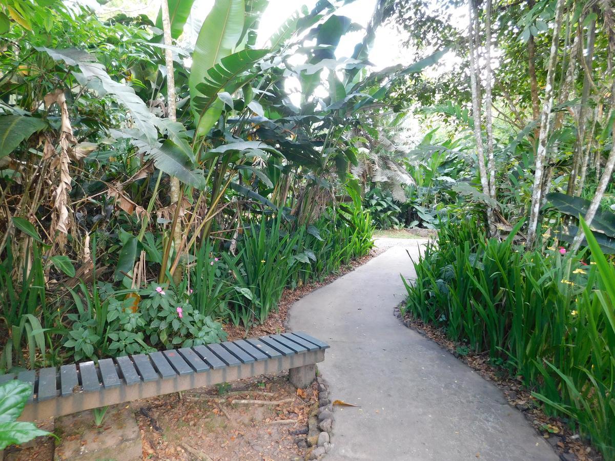 Rainforest Eco Lodge Suva Exterior photo