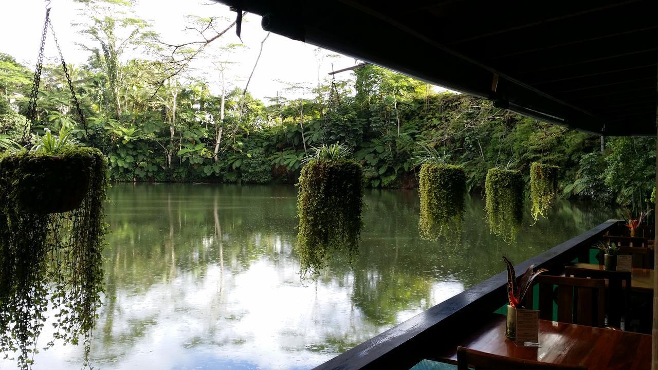 Rainforest Eco Lodge Suva Exterior photo