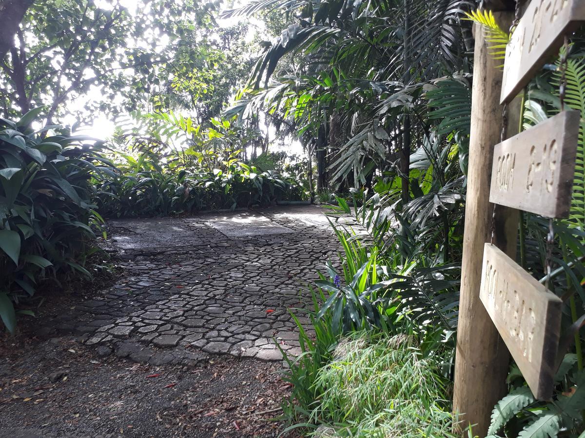 Rainforest Eco Lodge Suva Exterior photo