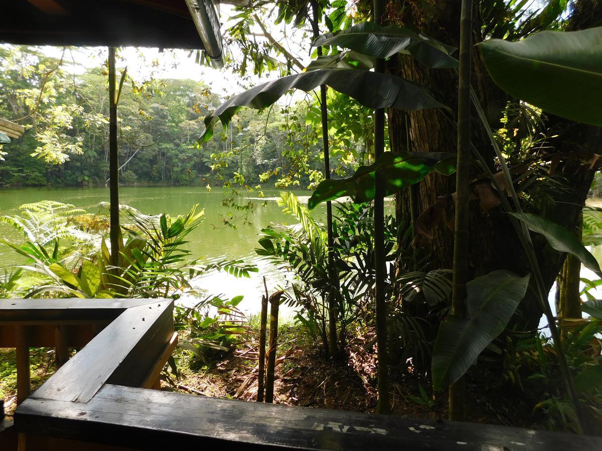 Rainforest Eco Lodge Suva Exterior photo