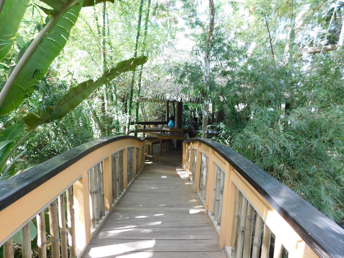 Rainforest Eco Lodge Suva Exterior photo